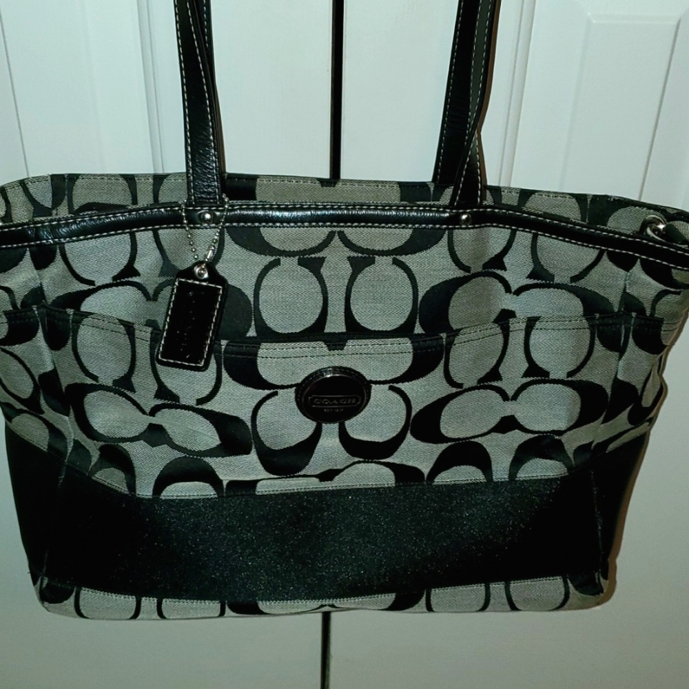 Diaper bag/purse